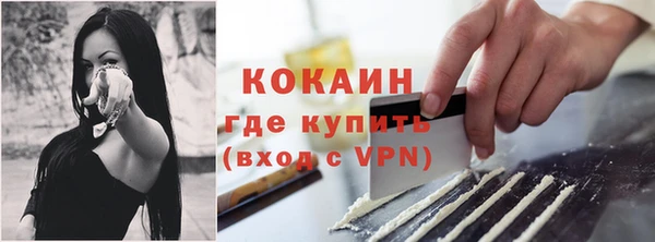 мяу мяу кристалл Корсаков