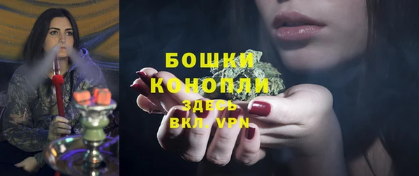 шишки Козельск