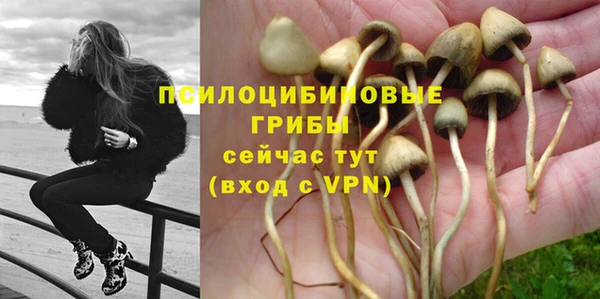 шишки Козельск