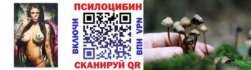 ОМГ ОМГ онион  где купить наркотик  Славгород  Псилоцибиновые грибы мухоморы 