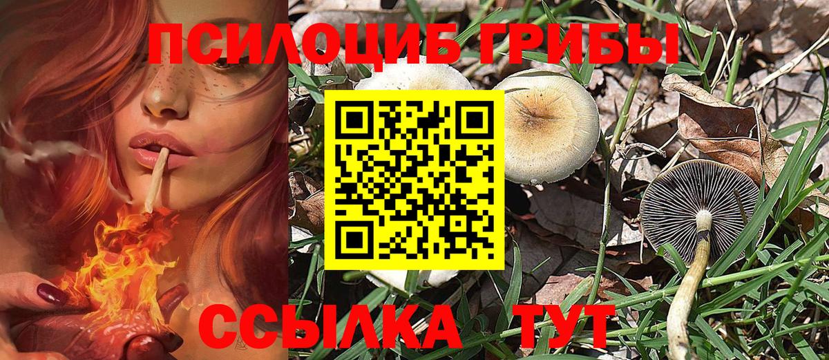 Псилоцибиновые грибы GOLDEN TEACHER Славгород