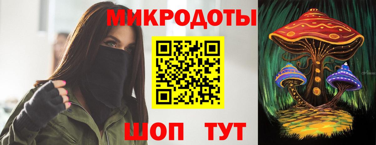 Славгород  Псилоцибиновые грибы прущие грибы  Вход с VPN 