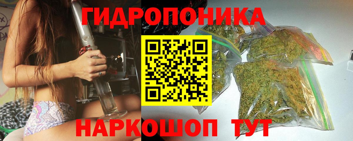 Марихуана OG Kush  Канабис план  Вход с VPN  Славгород  Бошки Шишки план  Конопля ГИДРОПОН 
